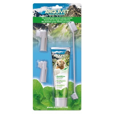 Set Dental menta