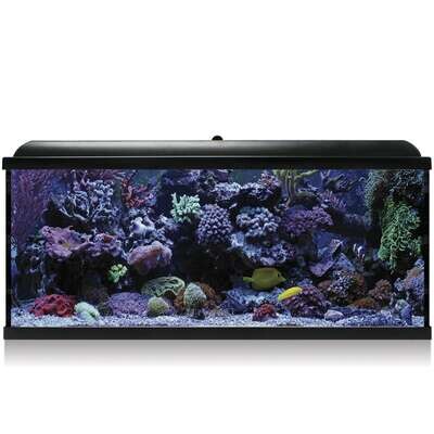 Kit Hydra 130 para agua salada 100x30,7x47,5 cm