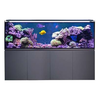Acuario marino con Sump AQUA OCEAN 200 200x50x60 cm