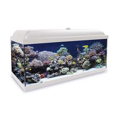 Kit Hydra 150 para agua salada 100x30,7x55,2 cm