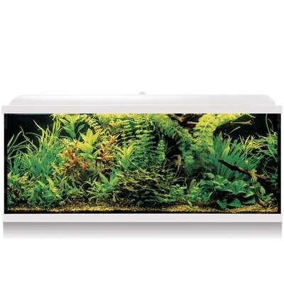 Kit AQUA LED PRO 240 con filtro exterior 120x40x55,5 cm