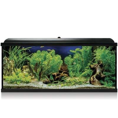 Kit AQUA LED PRO 130 con filtro interior 100x30,7x47,5 cm