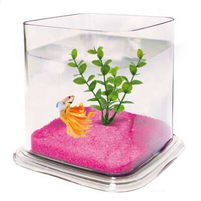 Bettera BETTA PARADISE 13,5x15x15 cm