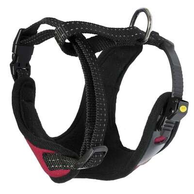 Arn�s Sport XT-DOG Cuello 55-73 cm Pecho 61-83 cm