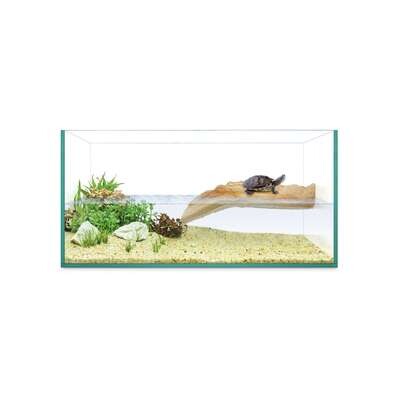 KIT tortuguera ISLA de REPTI SELVA 40x20x19 cm