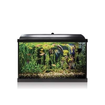 Kit AQUA LED PRO 68 con filtro interior 60x30,6x42,2 cm