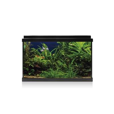 Kit AQUA LED 64 con filtro interior 59,8x30,9x40 cm