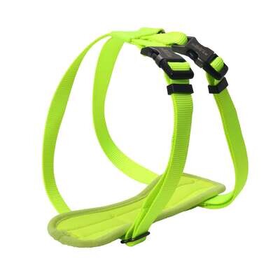 Arn�s Classic amarillo XT-DOG 25-45 cm