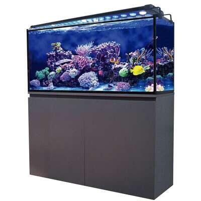 Acuario marino con Sump AQUA OCEAN 79,7x34,7x45 cm