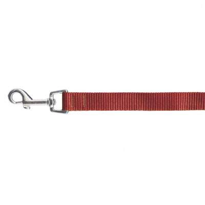 Correa Lisa Classic ICA 120x1,5 cm