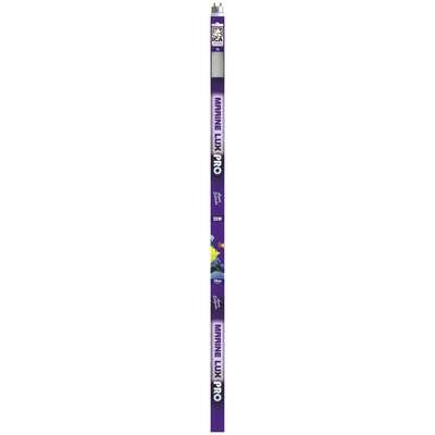 Fluorescente T8 MARINE LUX PRO 74