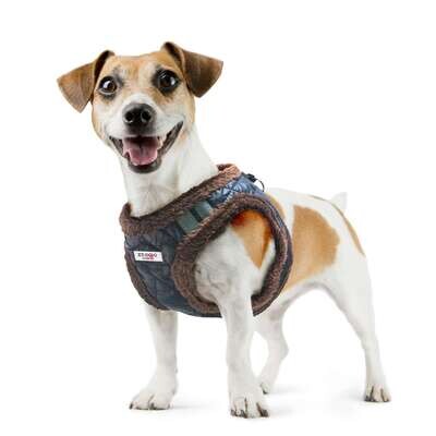 Arn�s NORDIC de XT-DOG  L