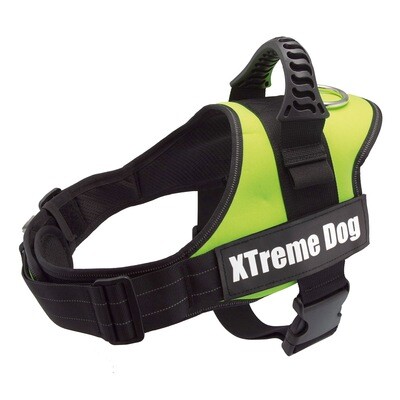 Arn�s Xtreme Dog Verde Neon - Talla:XS/44-57cm