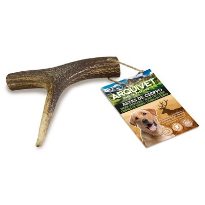 Asta de ciervo - L (76-150 g)