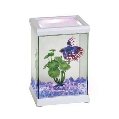 Betta Space LED 15,5x15,5x20,5 cm