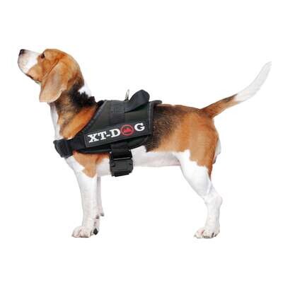 Arn�s de seguridad negro XT-DOG 60 cm