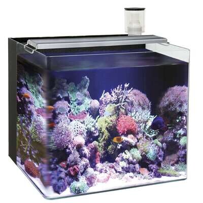 Nano Acuario marino OCEAN FREE 60x40x40 cm