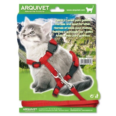 Petral + Tirador Gatitos