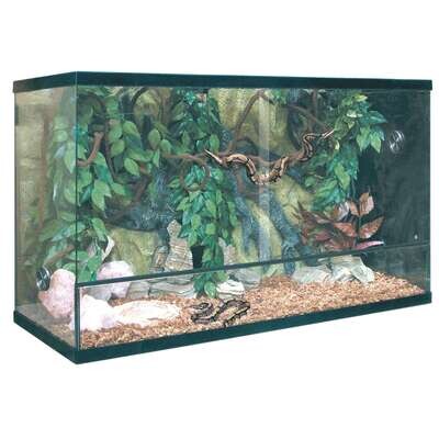 Kit para terrario REPTI-SELVA CRISTAL 100x40x60 cm