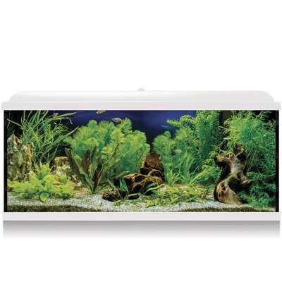 Kit AQUA LED PRO 130 con filtro interior 100x30,7x47,5 cm