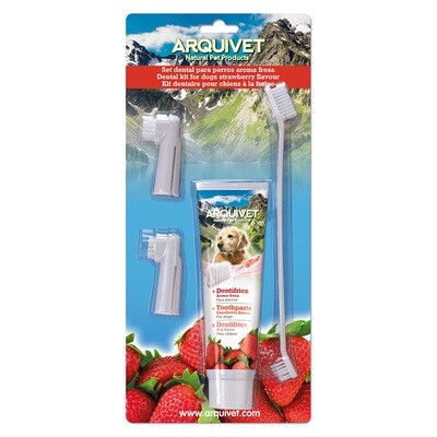 Set Dental fresa