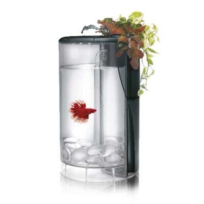 Kit Betta Flora LED 15x15x25 cm