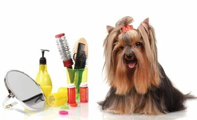 Cosmetica