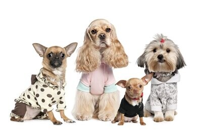 Juguetes, Ropa