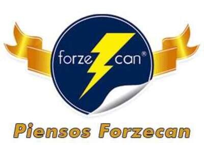 Forzecan