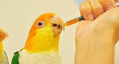 Vitaminas y suplementos