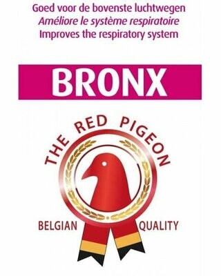 Red Pigeon