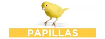 Papillas