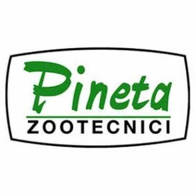 Pineta