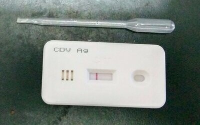 Test de Diagnóstico