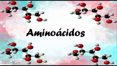 Aminoacidos