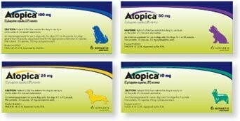 ATOPICA 100 MG 60 COMPRIMIDOS ATOPICA 100 MG 60 COMPRIMIDOS