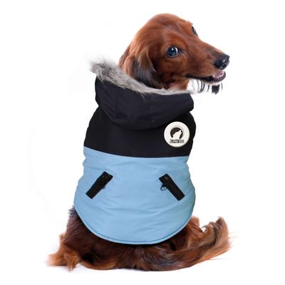 Abrigo DESIGN de ALPHA DOG 51 cm