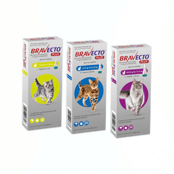 BRAVECTO PLUS GATO PEQUEÑOS Y GATITOS CAT 112,5 MG 1,2-2,8 KG 1 PIPETA