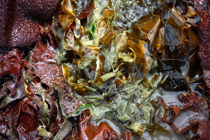 Pay for your Studio Art Sales here