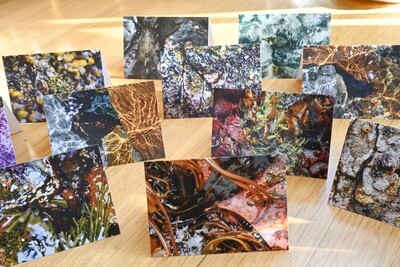 Twenty five I Love Nature Art Cards includes tax and shipping :) $125