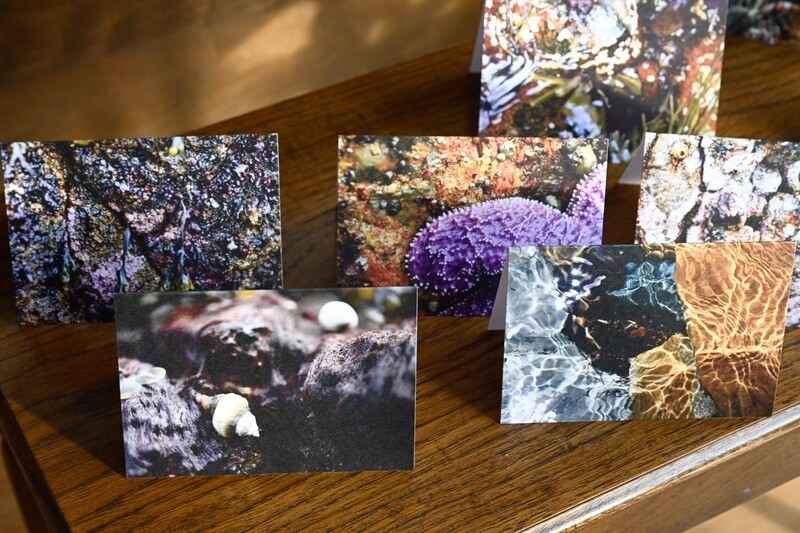 50 Love Nature Art Cards includes tax and shipping :) $185