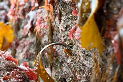 Archival Water Color 24" x 36" Print mounted in White Floater Frame