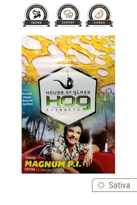House of Glass Magnum P.I. Shatter