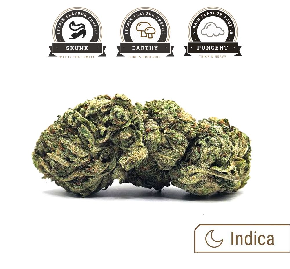 MK Ultra