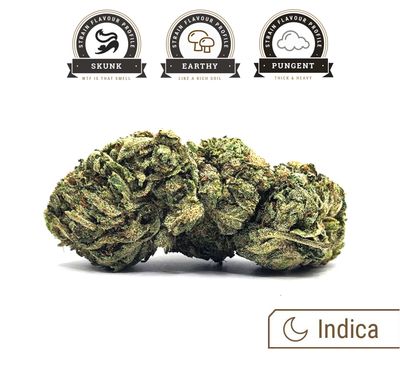 MK Ultra