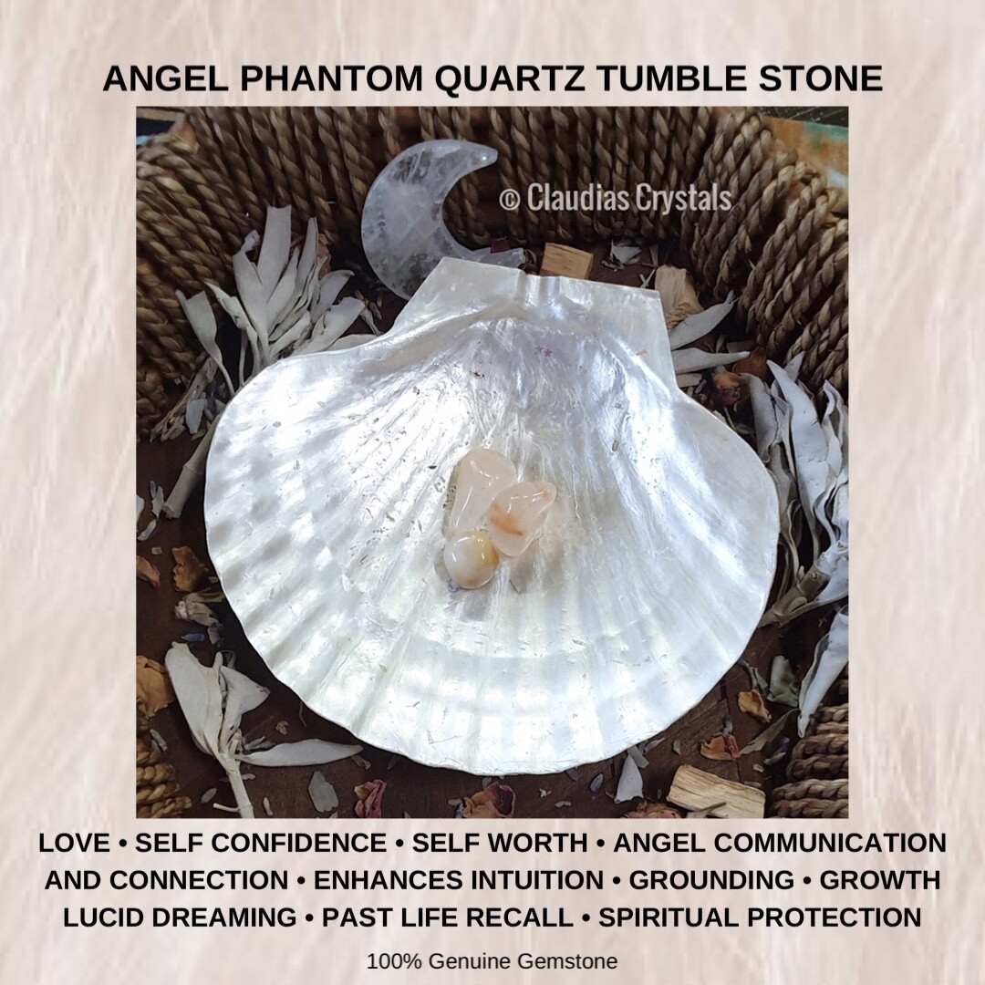 ANGEL PHANTOM QUARTZ - Tumbled Stone - Small
