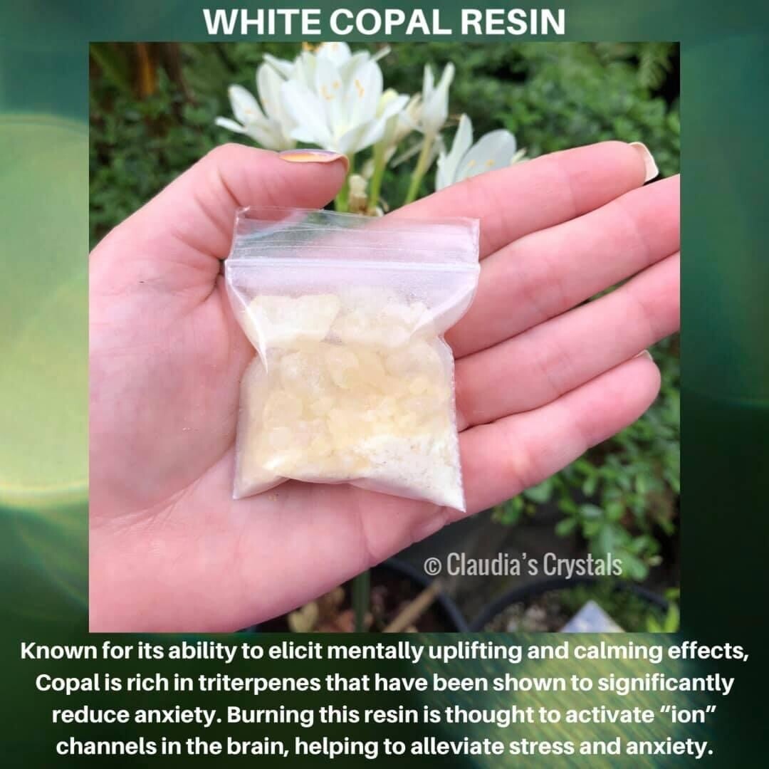 RESIN - WHITE COPAL