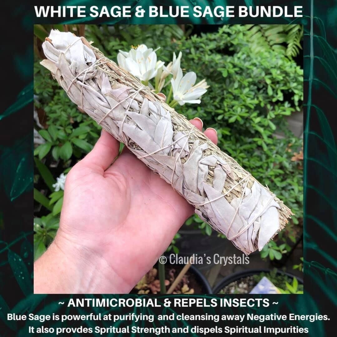 SAGE - WHITE &amp; BLUE SAGE (8”-9” Bundle)