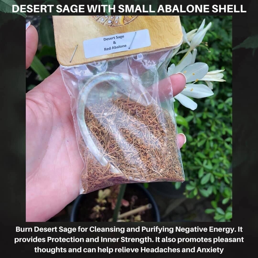 SAGE - DESERT SAGE WITH 3” ABALONE SHELL