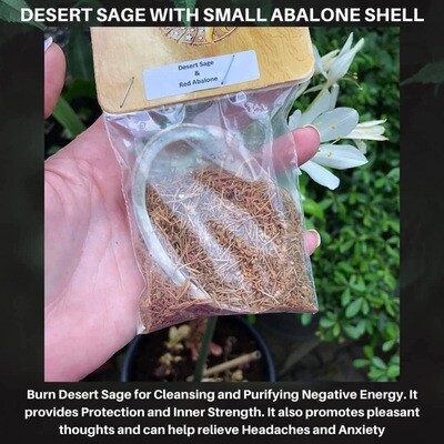 SAGE - DESERT SAGE WITH 3” ABALONE SHELL